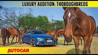 The Luxury Audition  Part 3  Thoroughbreds [upl. by Keri]