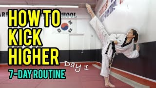 How to Kick Higher Stretches amp Drills Day 1 Routine [upl. by Anaili]