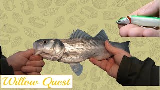 December Bass Fishing With JJ Minnow [upl. by Zerat784]