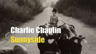 Charlie Chaplin misplaces a herd of cattle  Clip from Sunnyside 1919 [upl. by Reppep]