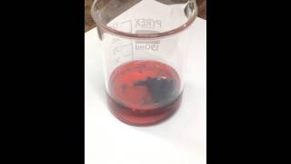 Cobalt hydroxide precipitate [upl. by Feeley]