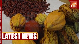 Cross River State Govt to release Cocoa Value Chain Policy in 2025 [upl. by Jaban]