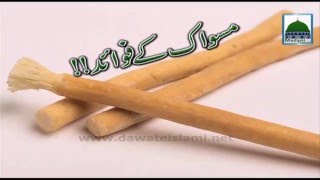 Miswak kay Fawaid  Short Bayan [upl. by Luigi651]