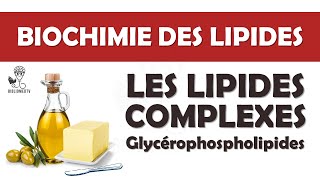 Biochimie des Lipides Complexes  les Glycérophospholipides [upl. by Anatnom736]