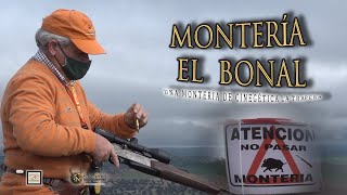 “MONTERÍA MIXTA EN EL BONAL CON CINEGETICA LA TRAPERA” en Peñarroya Córdoba 29 Noviembre del 2020 [upl. by Grayson106]