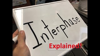 Interphase explained [upl. by Lozar]