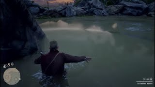 RDR2 Legendary MuskieFollowed by subsequent drop in the river [upl. by Grose]