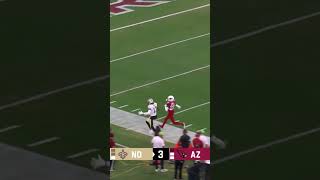 Haener to Perry for 58 yards WhoDat NFL [upl. by Retsub]