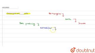 Osteocytes arecells [upl. by Gadmann]
