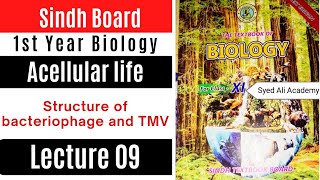 structure of bacteriophage  structure of TMV acellular life class 11 biology Sindh text book board [upl. by Oiluarb]