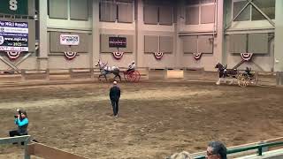 🐴💪 Pull me horse fun draft show viral fyp [upl. by Gschu]