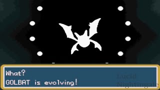 Pokemon Fire Red Zubat Evolves to Golbat and to Crobat [upl. by Velick723]