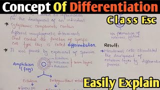 Concept Of Differentiation  Spemann Experiment  Growth And Development  Class 12 UrduHindi [upl. by Tracie]