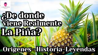 ¿La Piña es de Hawai ¡Te sorprenderás con su VERDADERO origen [upl. by Enomal920]