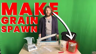 How To Make Grain Spawn For Mushroom Growing in 30 minutes  EASY METHOD [upl. by Polad]