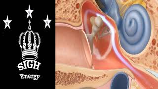 Eustachian tube dysfunction Healing and Regeneration EXTREMELY POWERFULEnergetically Programmed [upl. by Brendan838]