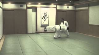 合気道 乱取基本の形④浮技 Tomiki Aikido Randori 17 Hon④Uki [upl. by Khoury]