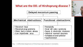 What are the causes of delayed meconium passing DD of hirschsprung disease in neonates ileus plug [upl. by Xela]