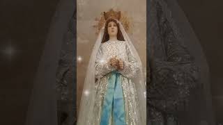 Immaculate Heart of Mary pray for us immaculateheartofmary mamamary fyp viralvideo shorts [upl. by Ahseinod]