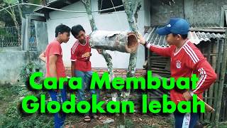 Cara Membuat kandang Lebah dari batang pohon kelapa  Glodokan [upl. by Doxia]