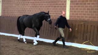 wwwdressagetalentscom  Don Hermitage [upl. by Lorsung]