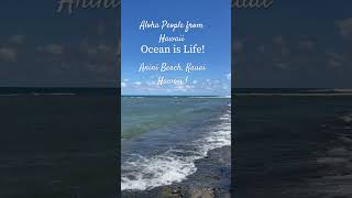 Anini Beach Kauai Hawaii kauaihawaii oceansounds oceanlife fypシ hawaiianisland [upl. by Dilly917]