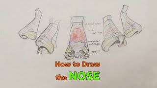 How I Draw Noses [upl. by Luigino725]