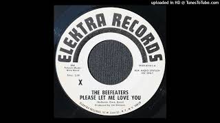 The Beefeaters  Please Let Me Love You  1964 Folk Rock  Early Byrds [upl. by Chancey]