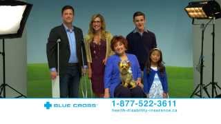 Blue Cross  Health and Disability Insurance [upl. by Misa]