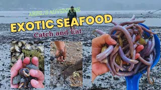 Exotic Seafood  Coastal Foraging [upl. by Shawna912]