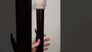 Comparing the Alto and Bass Recorder [upl. by Ahsaela866]