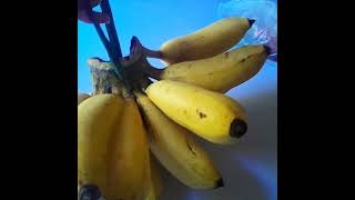 Tundan Saging grabe ka Worth it dagko happy yummy [upl. by Madson]