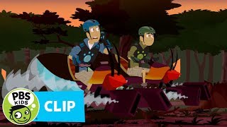 WILD KRATTS  Hercules Beetle Power  PBS KIDS [upl. by Tereb]