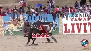 CORRIDA DE LIVITACA 2016 [upl. by Eveam]