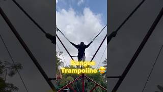 Bungee Trampoline😂Daily mini vlog Day34minivlog bungeejumping [upl. by Emrich547]