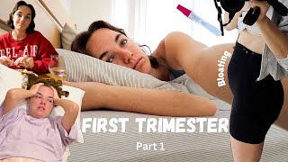 I filmed my whole FIRST TRIMESTER Weeks 5  13 PART 1 [upl. by Nnyleuqaj]