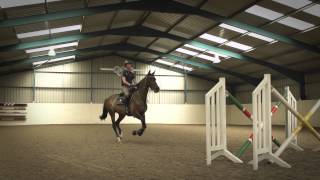 Behind The Scenes of Showjumping  Excelling Under Pressure [upl. by Waldos]