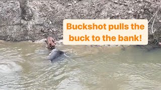 Another Alabama Buck Recovered In Creek Chase and Bay [upl. by Scarito]