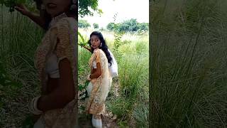 चला बसवारी मे Saritajijaunpuriya Shorts  shortsvideo youtubeshorts shortsfeed [upl. by Tham]