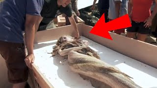 10 REAL LIFE MERMAIDS Caught On Camera [upl. by Mauralia]