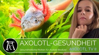 16 gesundheitliche Risiken für AxolotlBesitzer [upl. by Pirri]