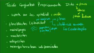 Tecido Conjuntivo Propriamente Dito  Aula 2 [upl. by Cilo]