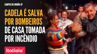 CADELA É SALVA POR BOMBEIROS DE CASA TOMADA POR INCÊNDIO EM CAMPOS DO JORDÃO SP [upl. by Eeneg124]