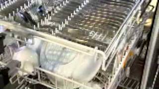 Miele Dishwashers  Basket testing [upl. by Eniretac]