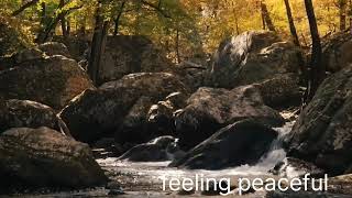 relaxing songmeditation musiclove enjoyable [upl. by Dunseath]