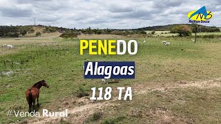 Penedo  118 tarefas [upl. by Eveiveneg967]