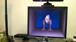 Holographiclike displaying using head pose tracking and screencamera calibration [upl. by Fougere]