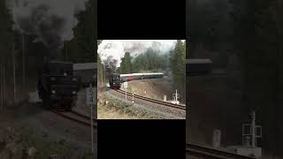 52 8079 gibt alles vogtland dampflok shorts steam trainspotting steamtrain eisenbahn railway [upl. by Ellard]