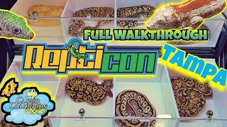 Repticon Tampa 2024 Huge Reptileshow Walkthrough [upl. by Lamhaj]