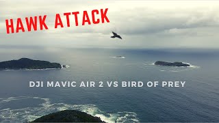 Hawk Attack 🦅  DJI Mavic Air 2 vs Bird of Prey PG Language text warning ⚠️ [upl. by Rriocard264]